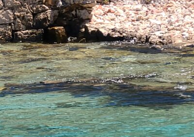 Kekova, Turkiye, Excursions in Turkiye